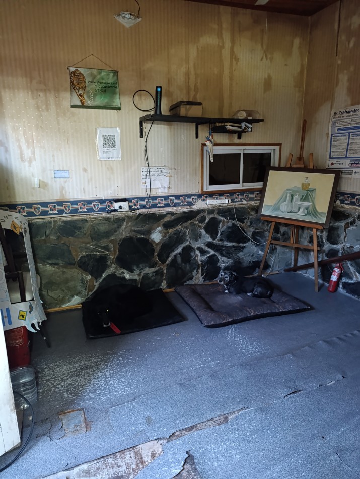 CASA + LOCAL + GALPON, OPORTUNIDAD!!!!