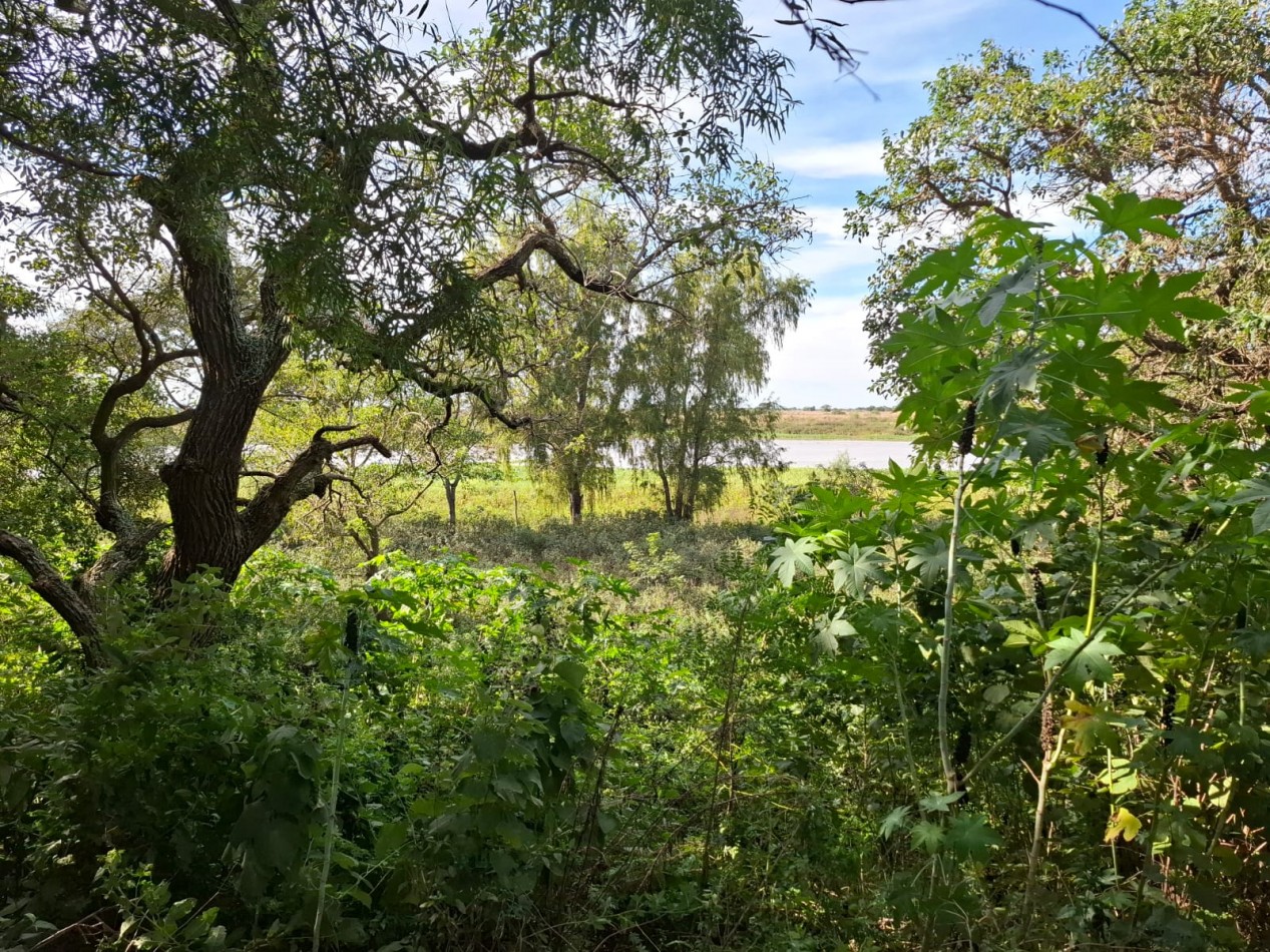 QUINTA EN ALEJANDRA, SAN JAVIER, SOBRE EL RIO