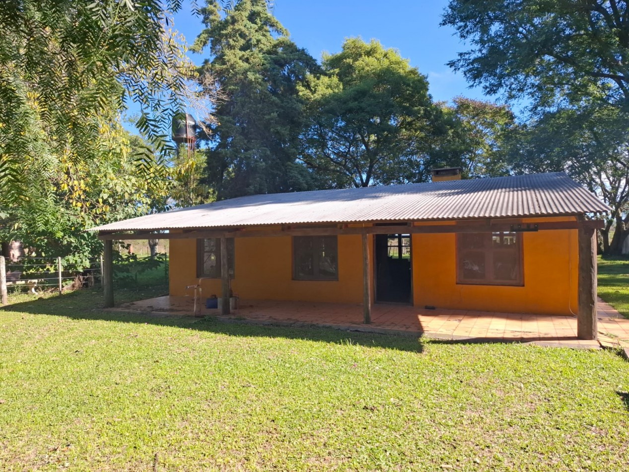 QUINTA EN ALEJANDRA, SAN JAVIER, SOBRE EL RIO