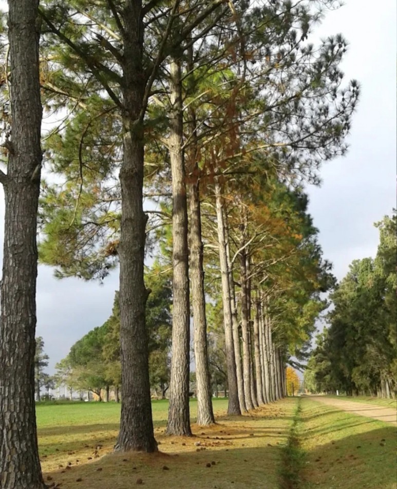 COUNTRY LOS MOLINOS OPORTUNIDAD!!!