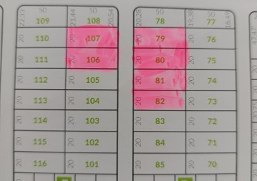 LOTES BARRIO CERRADO RUTA NAC. NRO 1 LEYES